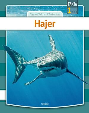 Hajer