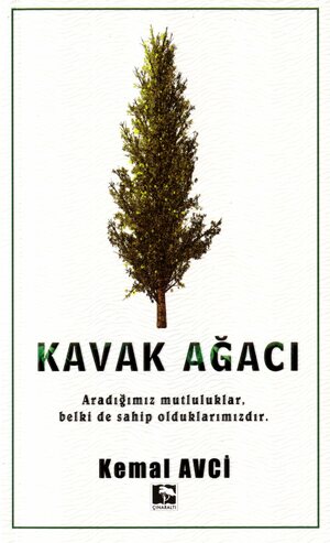 Kavak ağacı