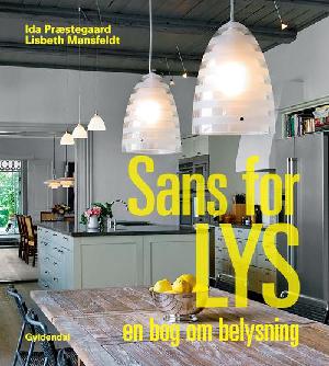 Sans for lys : en bog om belysning