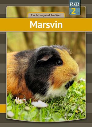 Marsvin