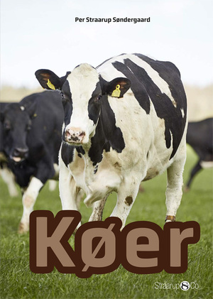 Køer