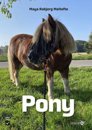 Pony