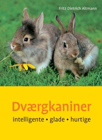 Dværgkaniner : intelligente, glade, hurtige