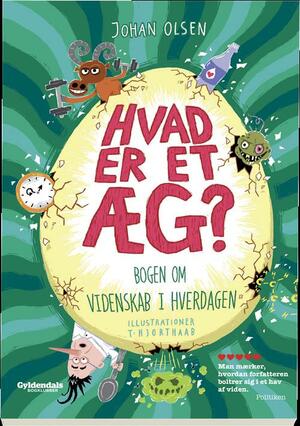 Hvad er et æg?