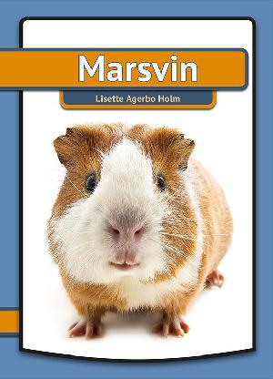 Marsvin