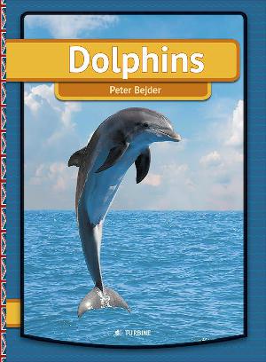 Dolphins