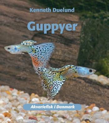 Guppyer