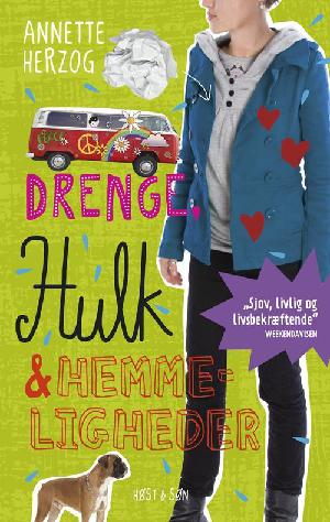 Drenge, hulk & hemmeligheder