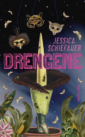 Drengene