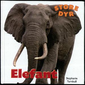 Elefant