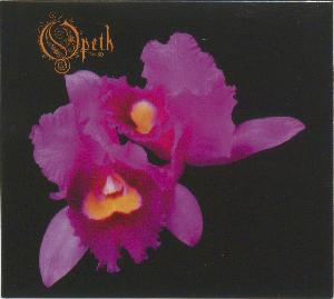 Orchid