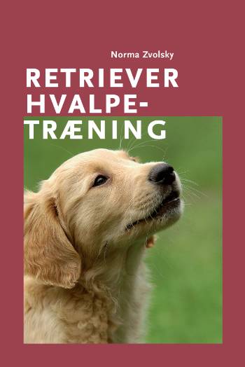 Retriever hvalpetræning