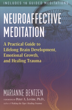 Neuroaffective meditation : a practical guide to lifelong brain development, emotional growth, and healing trauma