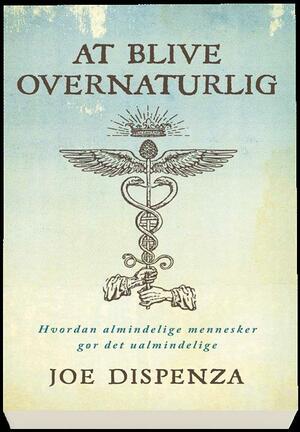 At blive overnaturlig : hvordan almindelige mennesker gør det ualmindelige