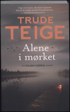 Alene i mørket