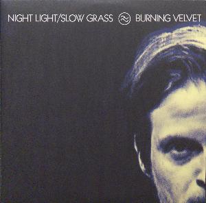 Night light/slow grass