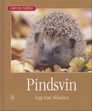 Pindsvin