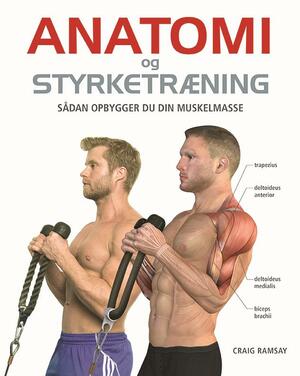 Anatomi og styrketræning : sådan opbygger du din muskelmasse