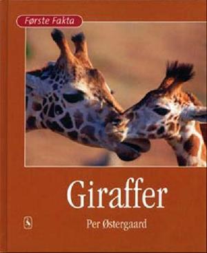 Giraffer