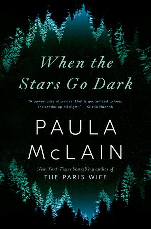 When the stars go dark : a novel