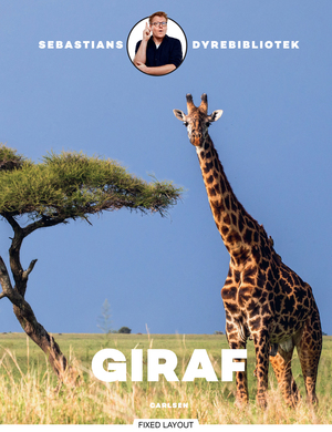 Giraf