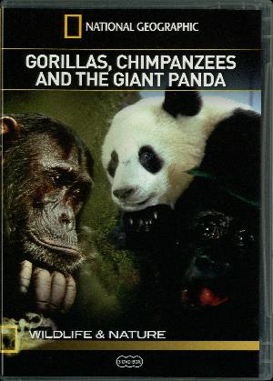 Gorillas, chimpanzees and the giant panda