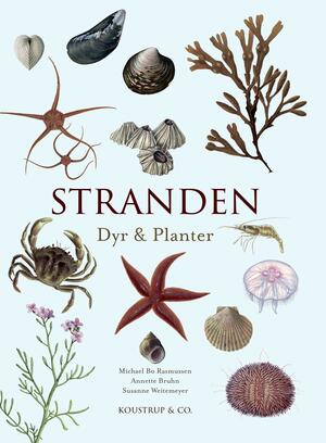 Stranden : dyr & planter