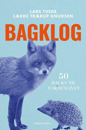 Bagklog : 50 hacks til voksenlivet