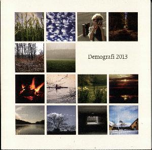 Demografi 2013