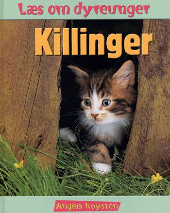 Killinger