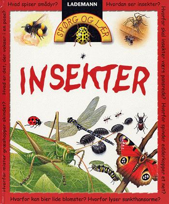 Insekter