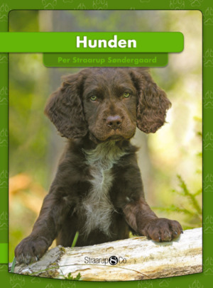 Hunden