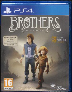 Brothers : a tale of two sons