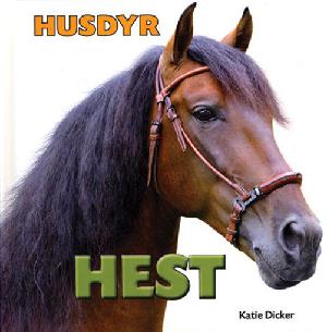 Hest