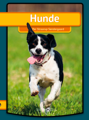 Hunde