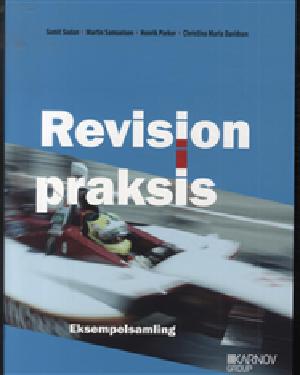 Revision i praksis : planlægning, udførelse, konklusion -- Eksempelsamling