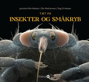 Tæt på insekter og småkryb