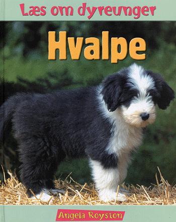 Hvalpe