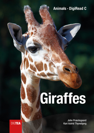 Giraffes