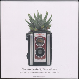 Photosynthesis - fifty camera flowers