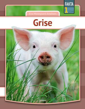 Grise