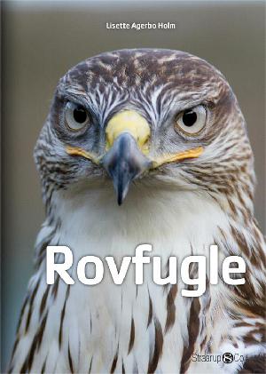 Rovfugle