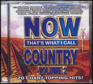 Now that's what I call country, volume 2 : 20 chart-topping hits!