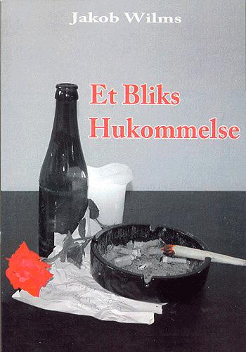 Et bliks hukommelse : ungdomsroman