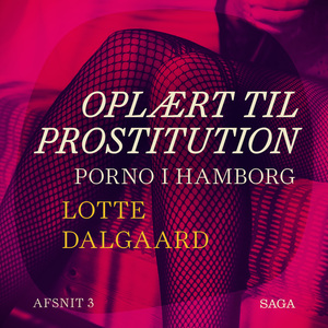 Oplært til prostitution. Afsnit 3 : Porno i Hamborg