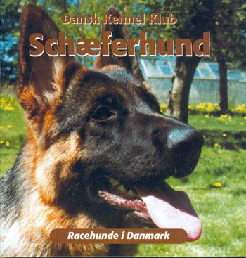 Schæferhund