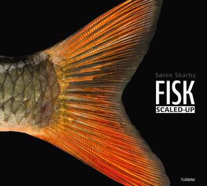 Fisk - scaled-up