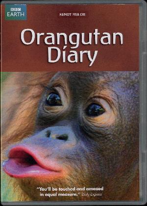 Orangutan diary