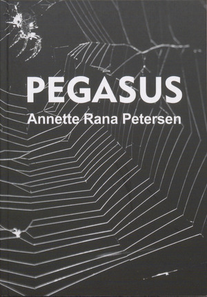 Pegasus