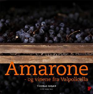 Amarone og vinene fra Valpolicella